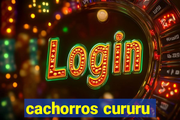 cachorros cururu